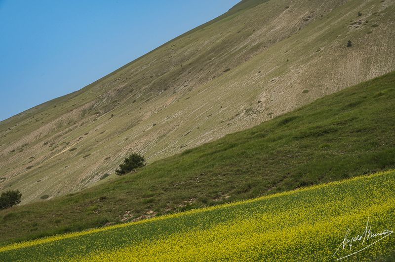 Castelluccio-0604.jpg