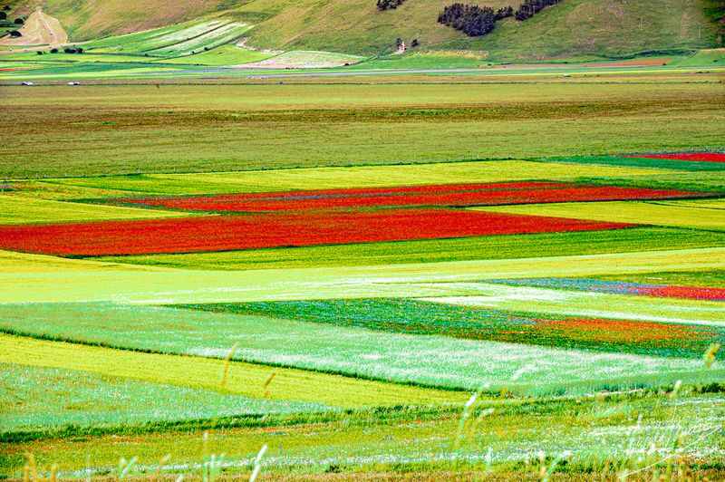 Castelluccio-0607.jpg