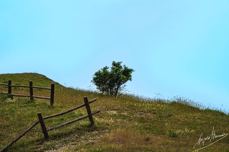 Castelluccio-0609.jpg