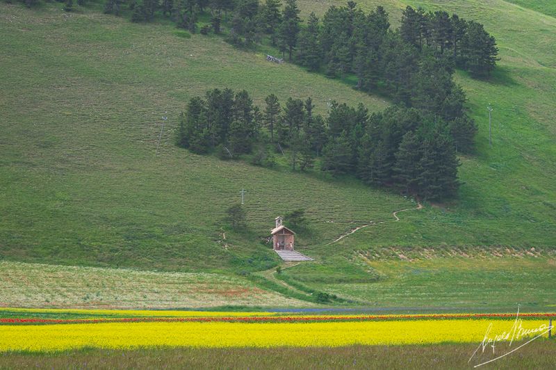 Castelluccio-0611.jpg