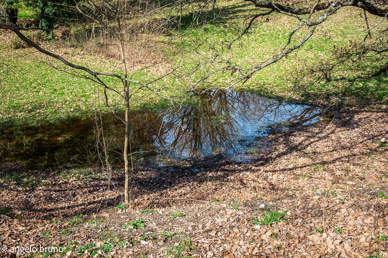 23022025-_DSC3468.jpg