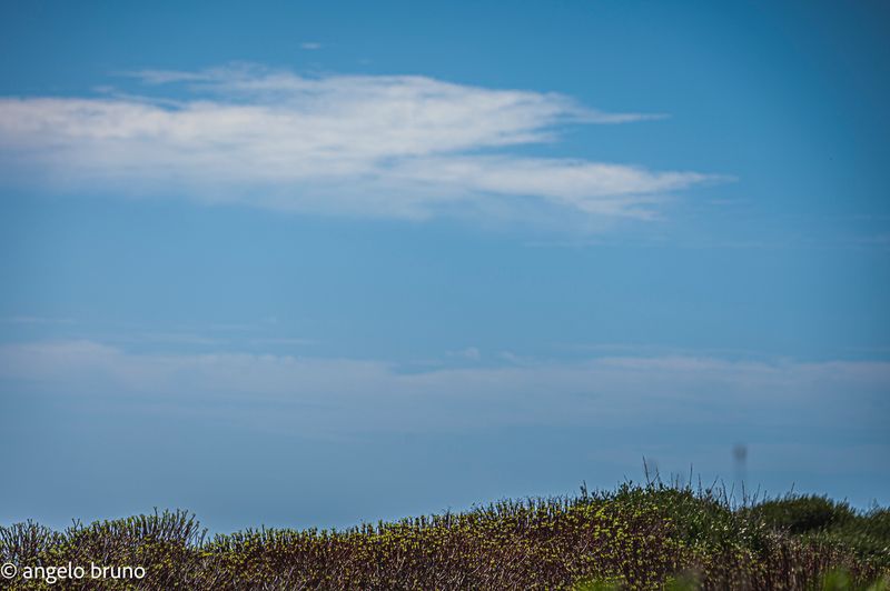31082025-31082025-_DSC0479.jpg