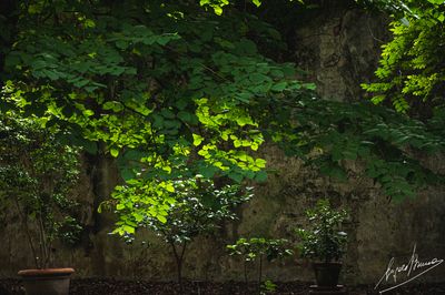 g13/78/830478/3/174651154.2f168cb6.JPEG