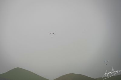 g13/78/830478/3/174659957.3e636692.JPEG