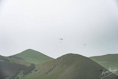 g13/78/830478/3/174659960.4f77fecb.JPEG