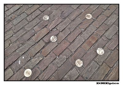 k095919.jpg
