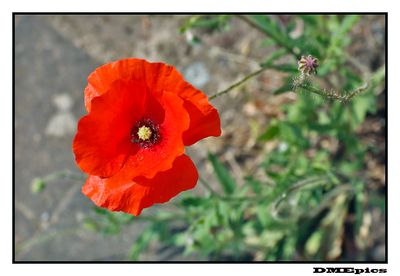 11 november 2024
