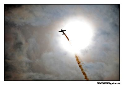 A FOTO A DAY ... ALMOST