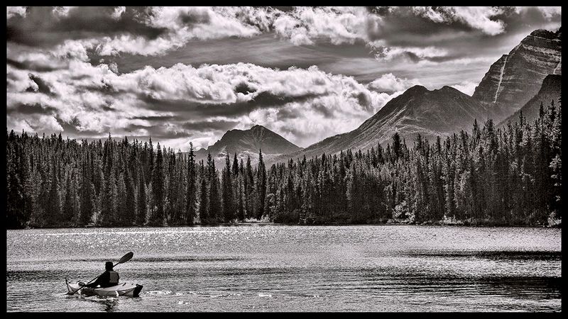 Alone in Beauty
