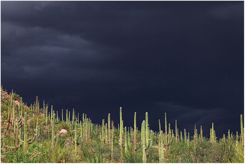 Shroud of a Storm