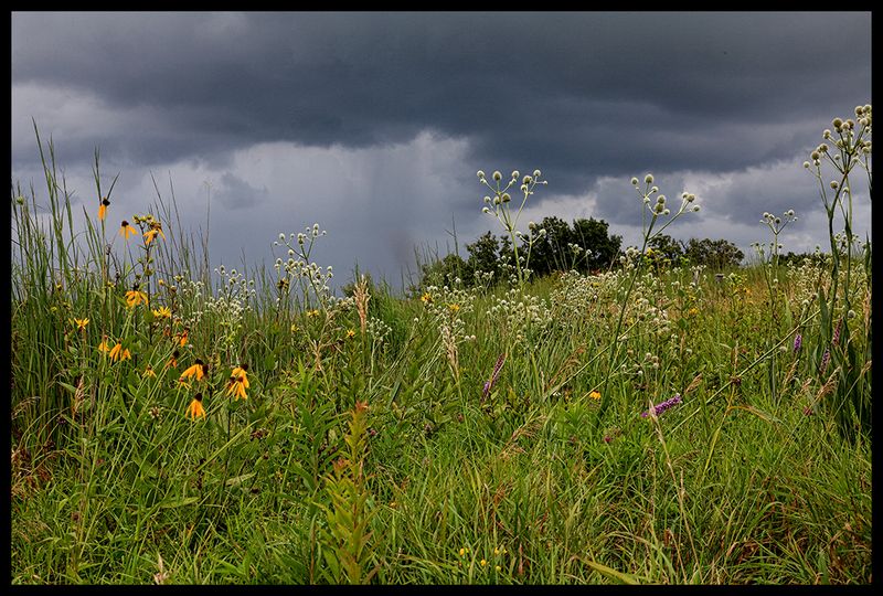 Rain on the Prairie
