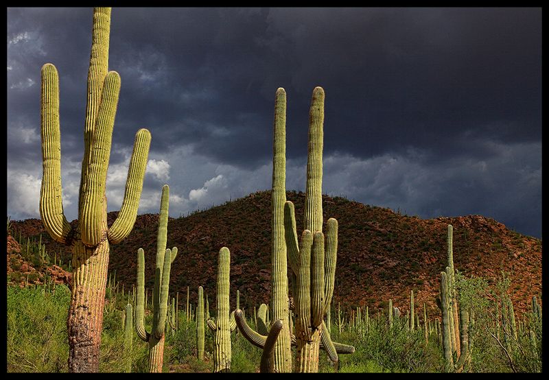 A Brooding Sky