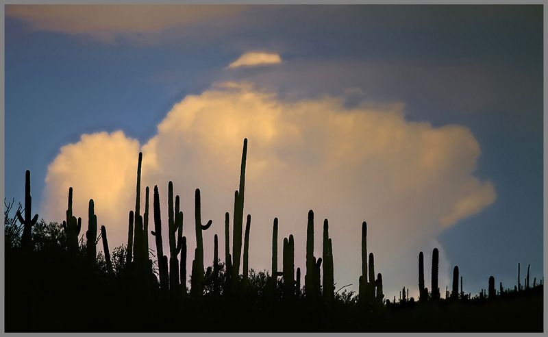 Cloudburst