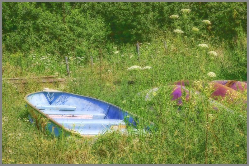 Left in the Weeds
