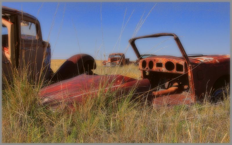 Out to Pasture