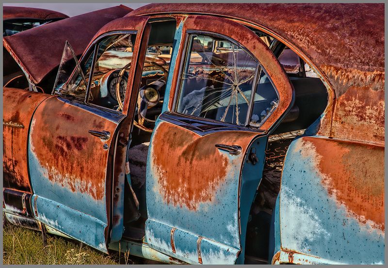 Discarded Beauty