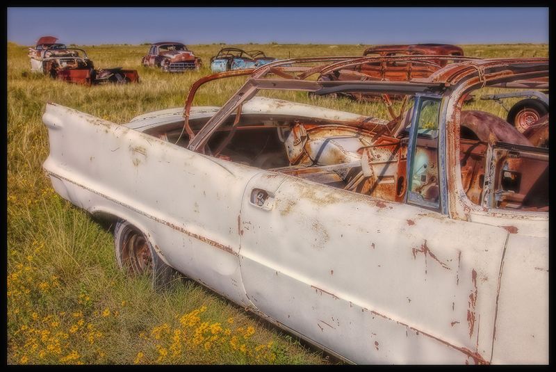 Field of Dreams
