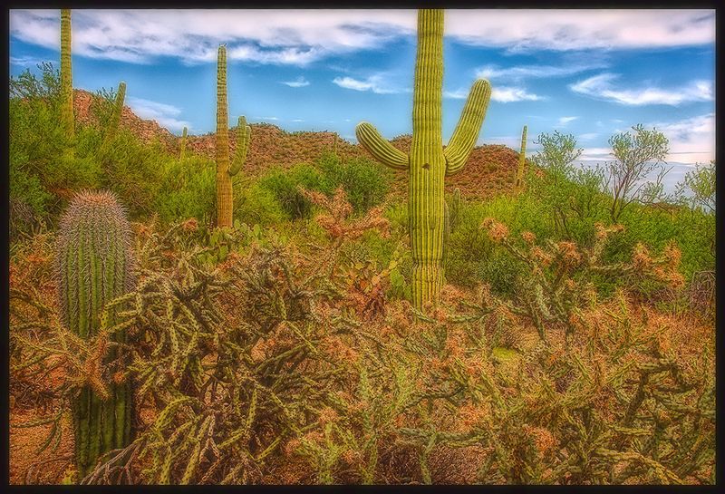 Thorny Relationship