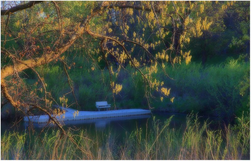 A Dreamy Evening