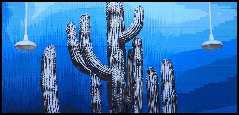 Lights in the Desert