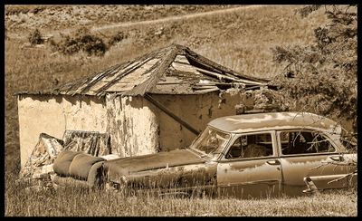 Snippets of the West with Dan Greenberg