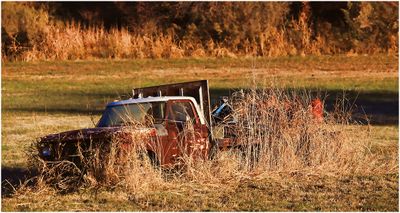Car Parts