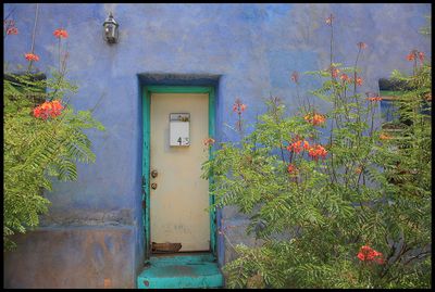 Southwest by the Wayside Part 2