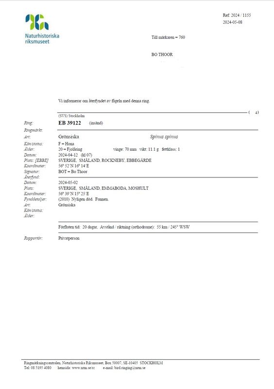 EB39122 - Grnsiska