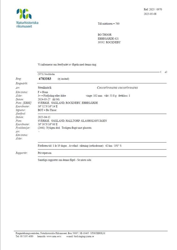 4783383 - Stenknck