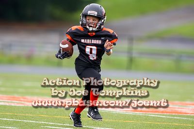 IMG_2919.jpg
