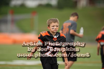IMG_2811.jpg