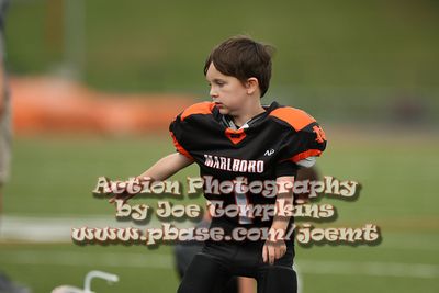 IMG_2817.jpg