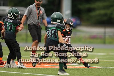 IMG_2877.jpg