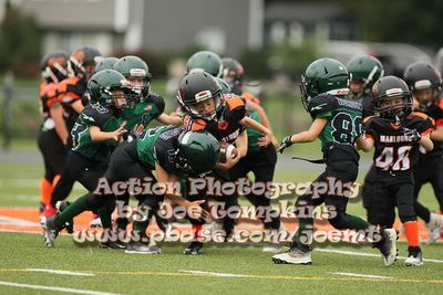 IMG_2879.jpg