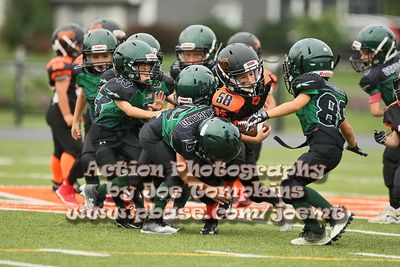 IMG_2880.jpg