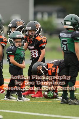 IMG_2892.jpg