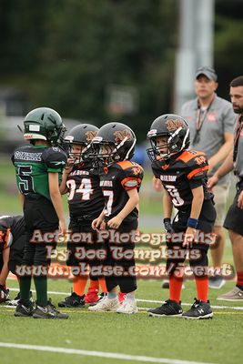 IMG_2895.jpg