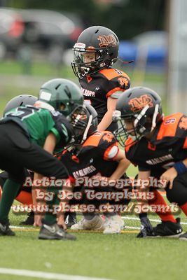 IMG_2898.jpg