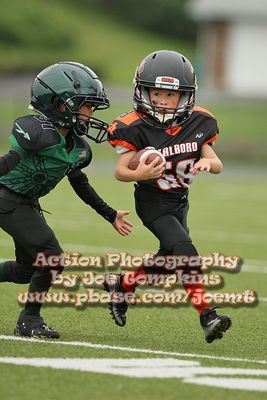 IMG_2902.jpg