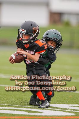 IMG_2907.jpg