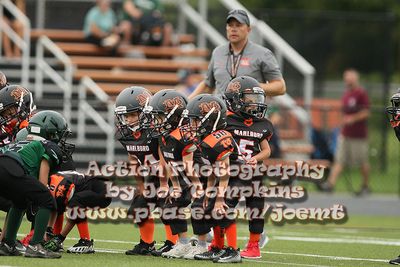 IMG_2911.jpg