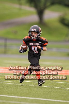 IMG_2924.jpg