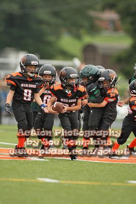 IMG_2936.jpg