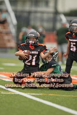 IMG_2941.jpg