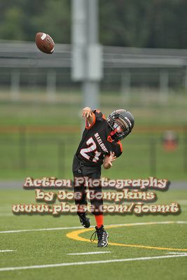 IMG_2951.jpg