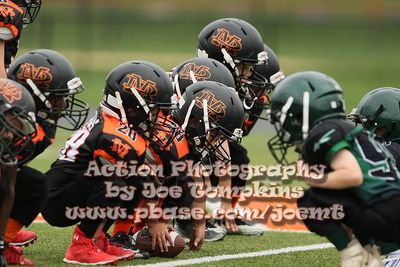 IMG_2955.jpg