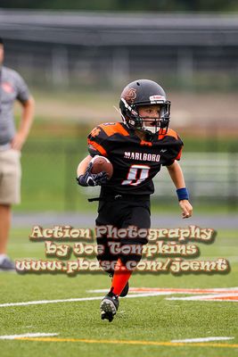 IMG_2959.jpg