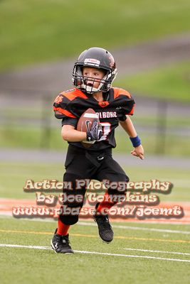 IMG_2921.jpg