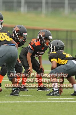 IMG_3040.jpg