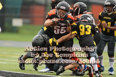 IMG_3124.jpg